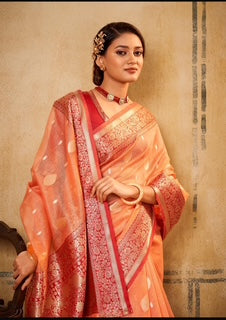 Banarasi Tissue Collection- Peach